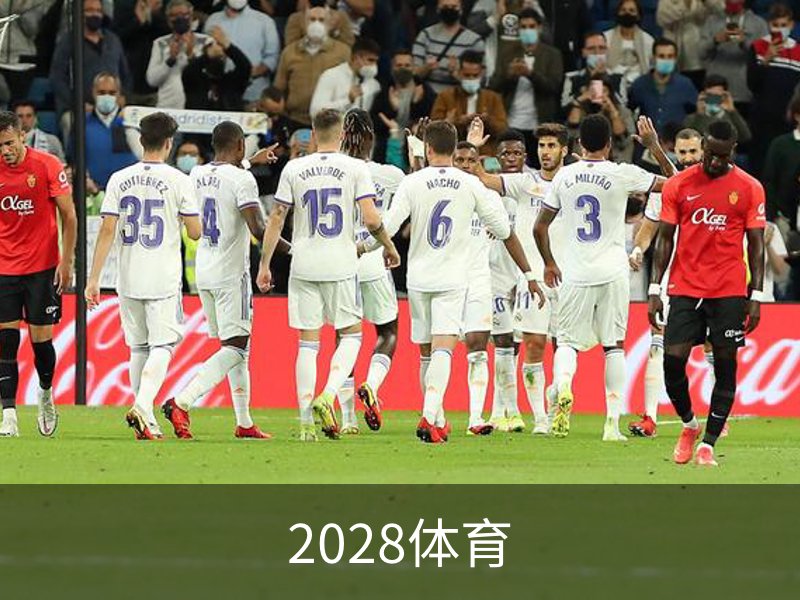 2028体育概况
